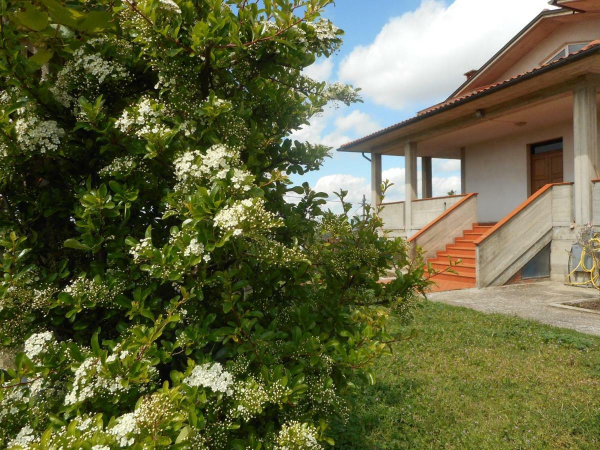 Poggio Fiorito Castiglion Fiorentino Exterior foto