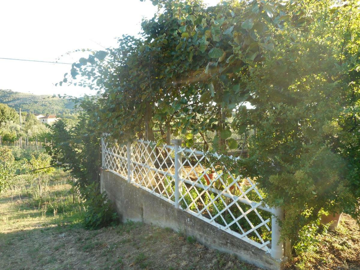 Poggio Fiorito Castiglion Fiorentino Exterior foto